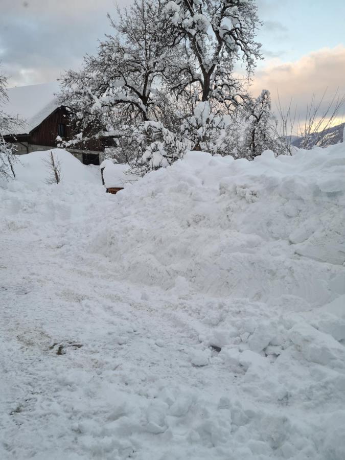 Ferienwohnung Salburg,Troepolach Esterno foto