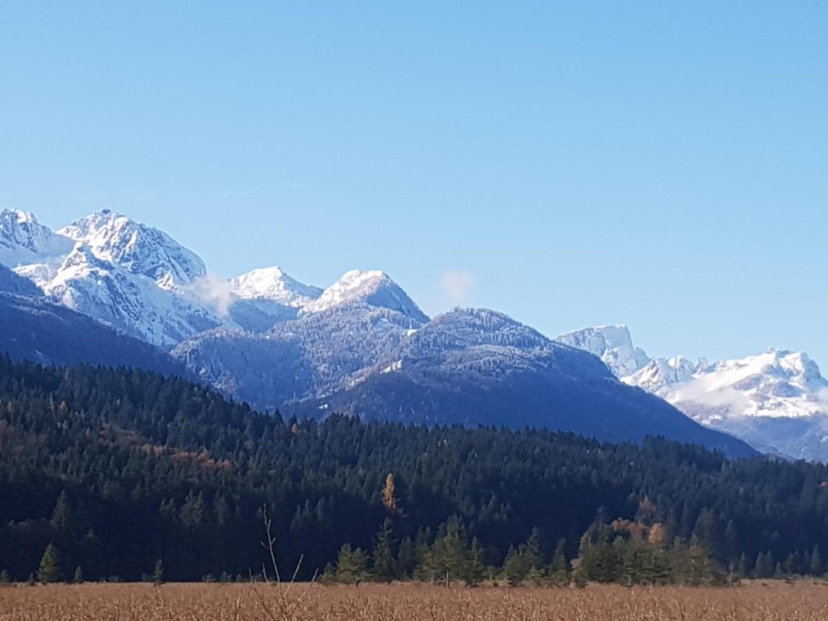 Ferienwohnung Salburg,Troepolach Esterno foto